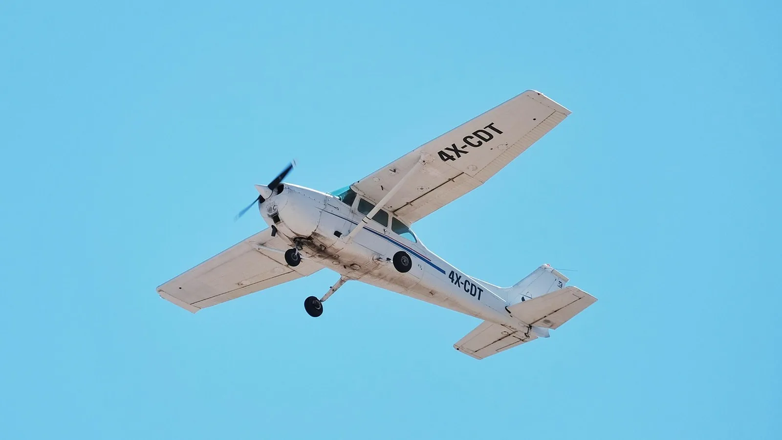 Single-engine Cessna on a grass strip