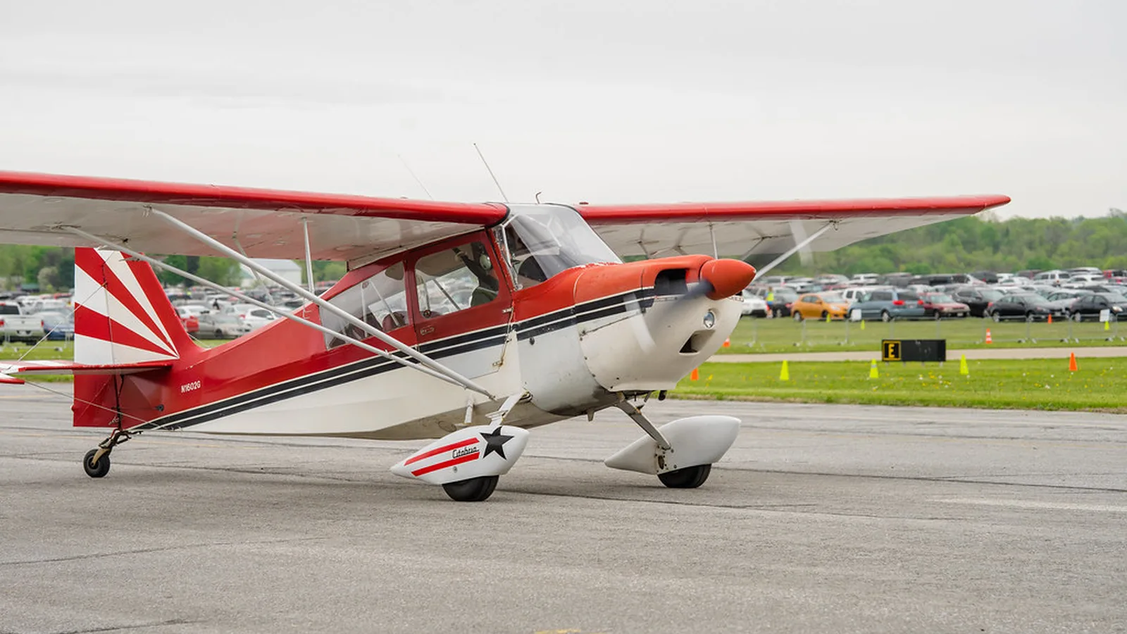 American Champion Citabria